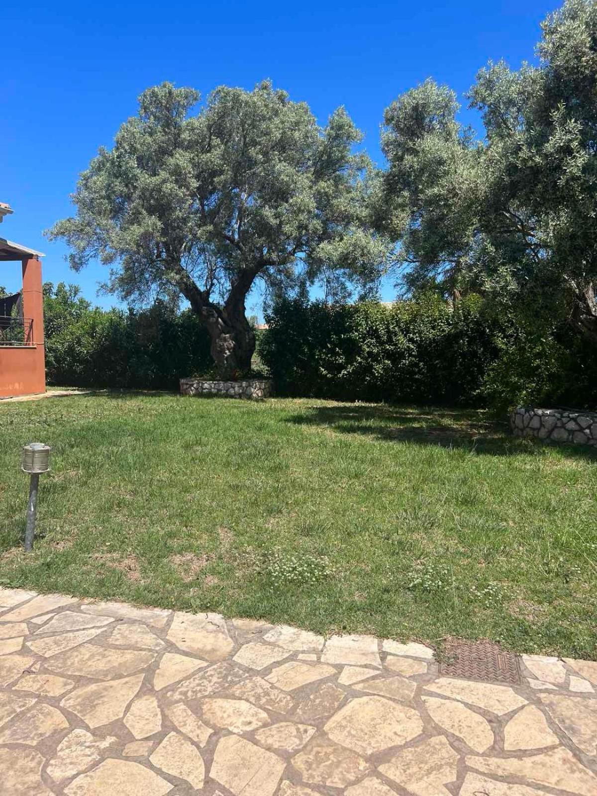 Voula Agios Ioannis 2